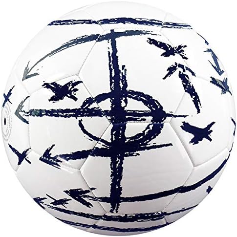 BEST SPORTING Fussballtor Taktik 11076 2-teilig inkl. Fussball Gr. 5 "Taktik 10047