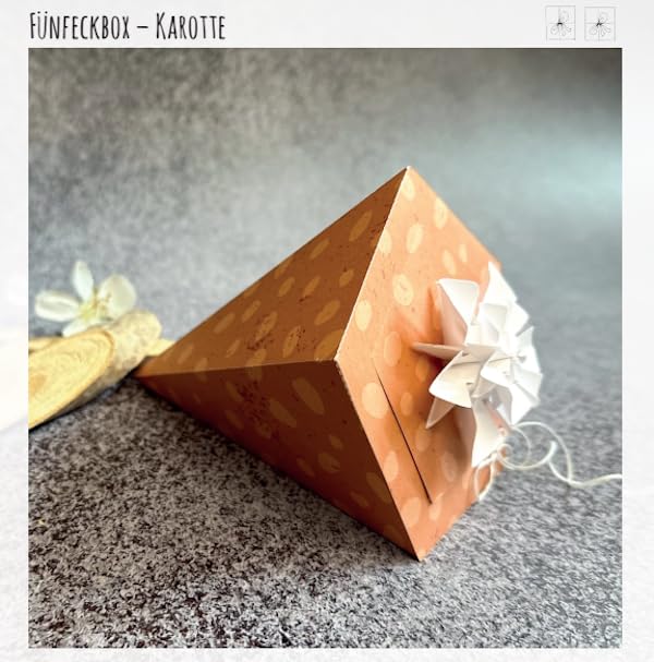 Aussergewöhnliche Geschenkboxen aus Papier: Basteln, Einpacken & Verschenken.Inklusive Schnittdateie