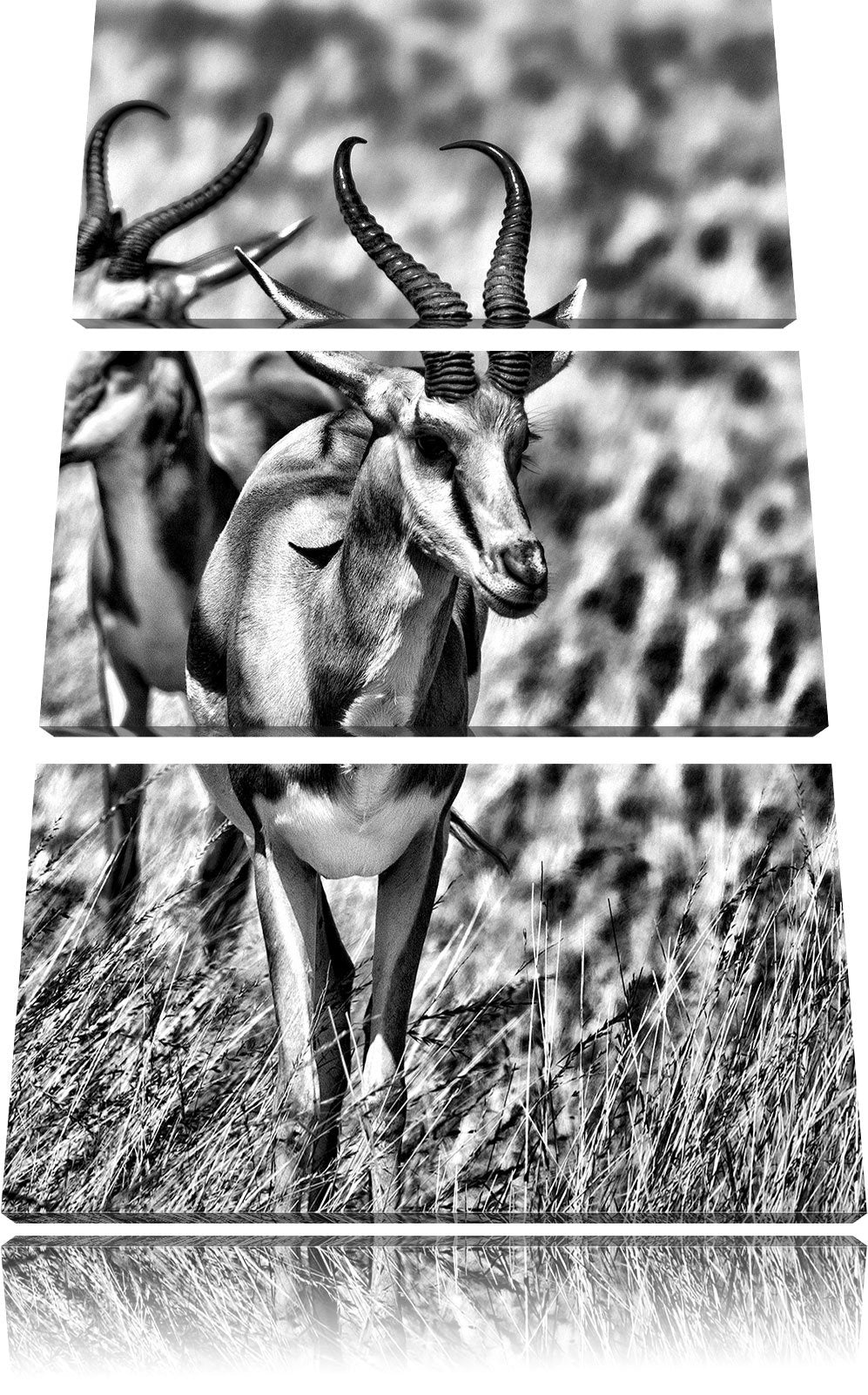 Pixxprint Monocrome, Tiere in Savanne, Rehe, Afrika 3-Teiler Leinwandbild 120x80 Bild auf Leinwand