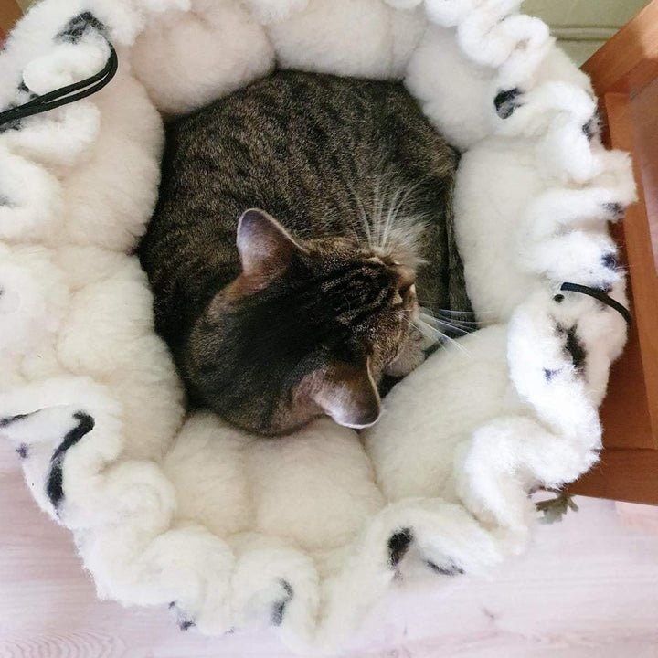 Hollert Haustier Kokon 2 in 1 Versteck aus Merinowolle Katzenkorb Tierbett Schlafplatz Versteck kusc