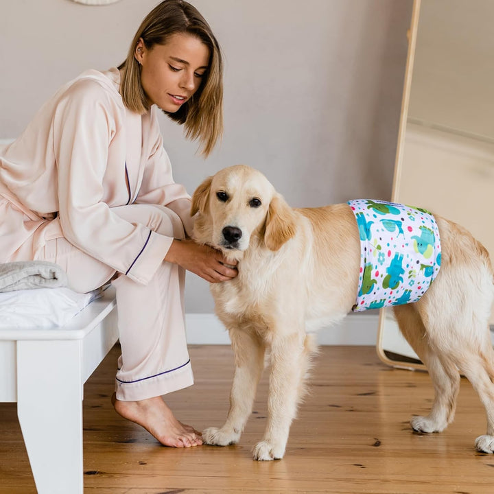 MICOOYO Wiederverwendbare Hundewindeln für Männer, 3er-Pack, waschbare Bauchbänder für Hunde, super