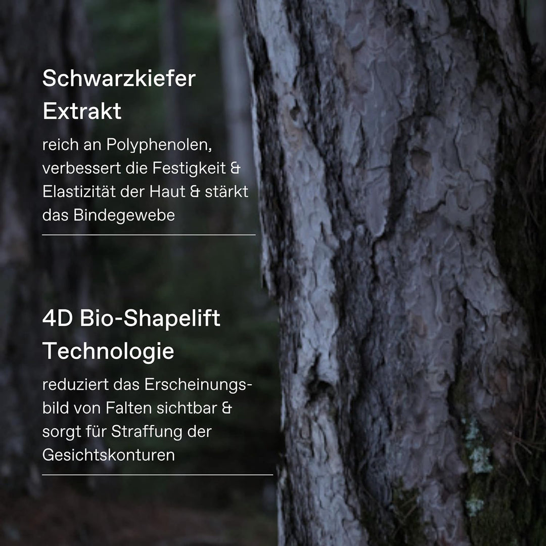 KORRES BLACK PINE 4D Bio-ShapeLift Straffende, intensiv feuchtigkeitsspendende Creme vegan (trockene