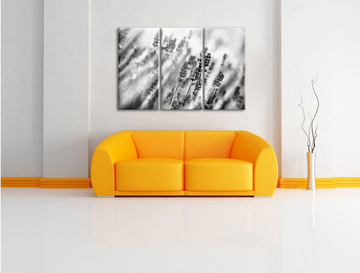 Pixxprint Schöner Lavendel im sanften Licht als Leinwandbild/Grösse: 3 Teilig (120x80) cm/Wandbild/K