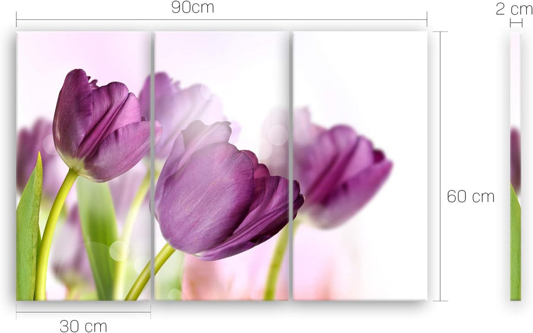 ge Bildet Bild auf Leinwand | Tulpe - Blumen Violett Natur E in 90x60 cm mehrteilig als Wandbild | W