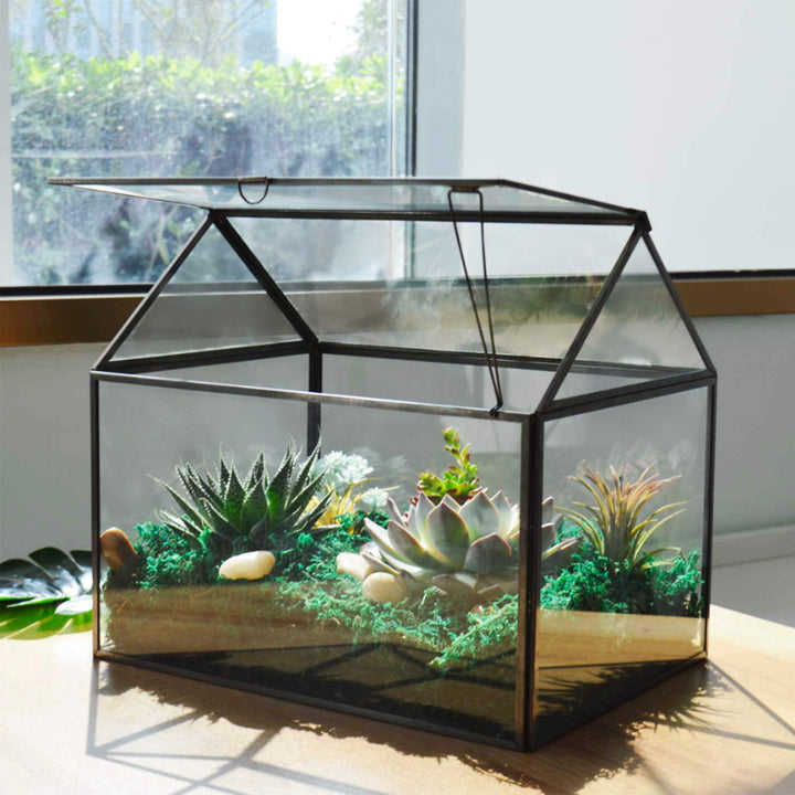 Grosses Glas Pflanze Terrarium - Haus Sukkulenten Glas Terrarium Kit mit Lippe Glas Gewächshaus Terr