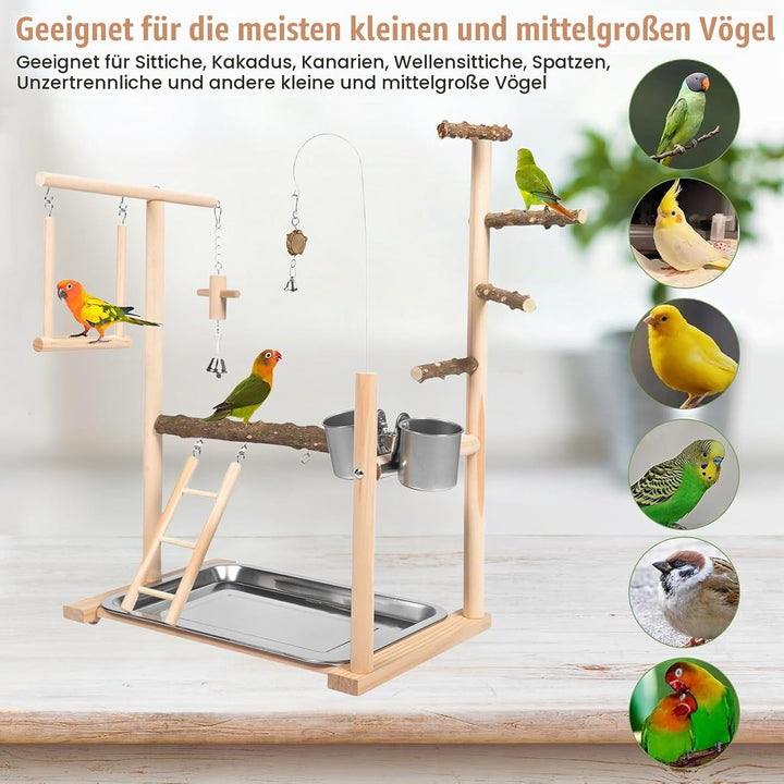 Vogel Spielplatz, Holz Wellensittich Spielplatz mit Edelstahl Futterbehälter Papagei Vogelspielplatz