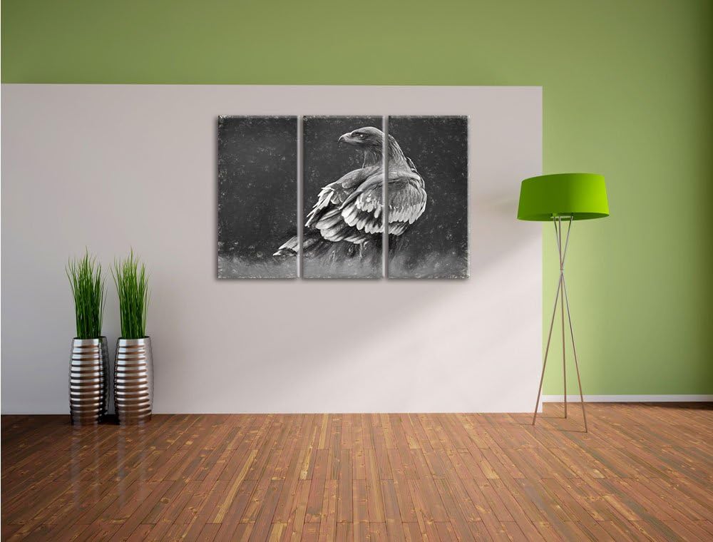 Pixxprint Einsamer Falke mit braunem Gefieder Kunst Kohle Effekt 3-Teiler Leinwandbild 120x80 Bild a