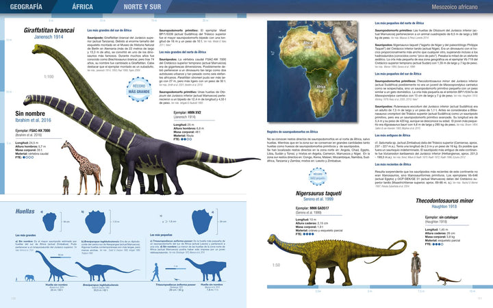 Récords y curiosidades de los dinosaurios: Saurópodos y otros sauropodomorfos, Gebundenes Buch