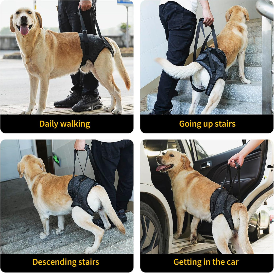 HEYWEAN Hunde-Hebegeschirr, Beinstütze für Rücken, Beine, Hundeschlingen für kleine, mittelgrosse un