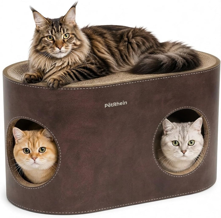 Kratzbrett für Katzen aus Kratzpappe,3-in-1 grosses Katzenhöhle mit Kratzmatte & Katzenbett – 64 x 3