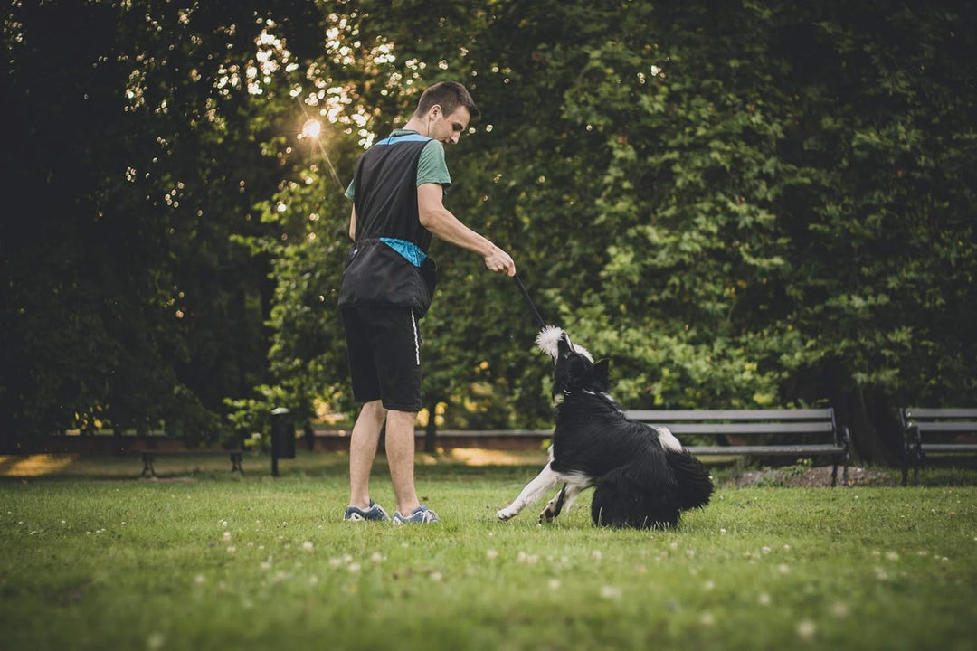 Dingo Hundetrainingsweste für Sport, Agility, Apportieren, Gehorsam, Wasserdicht, Viele Taschen für