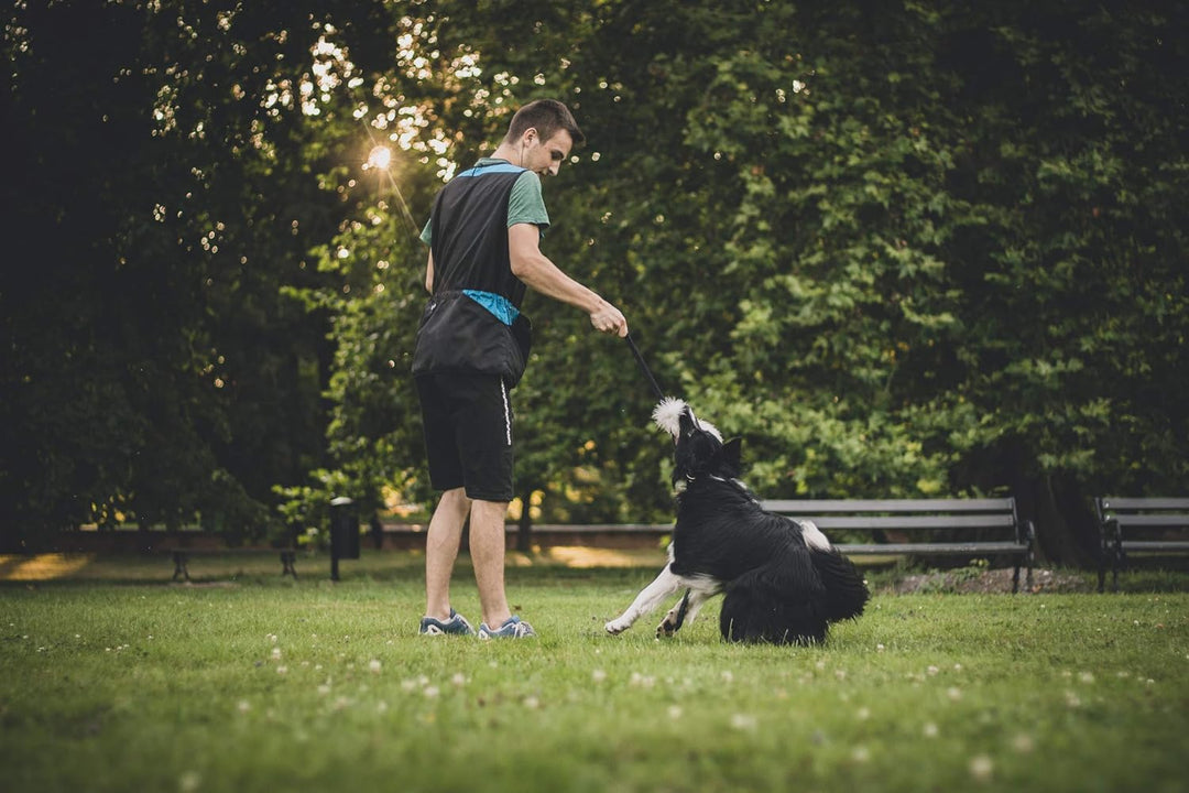 Dingo Hundetrainingsweste für Sport, Agility, Apportieren, Gehorsam, Wasserdicht, Viele Taschen für