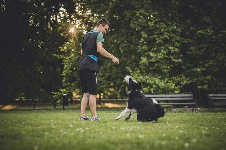 Dingo Hundetrainingsweste für Sport, Agility, Apportieren, Gehorsam, Wasserdicht, Viele Taschen für