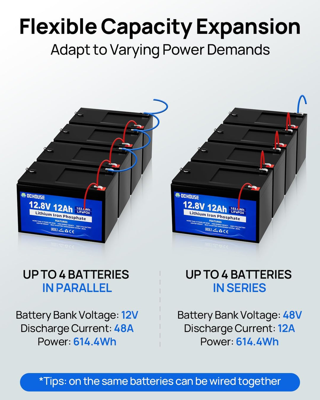 DCHOUSE 12V 12Ah LifePo4 Batterie Tiefe Zyklen mit 15A BMS,10 Jahre Lebensdauer, für Trolling Motor
