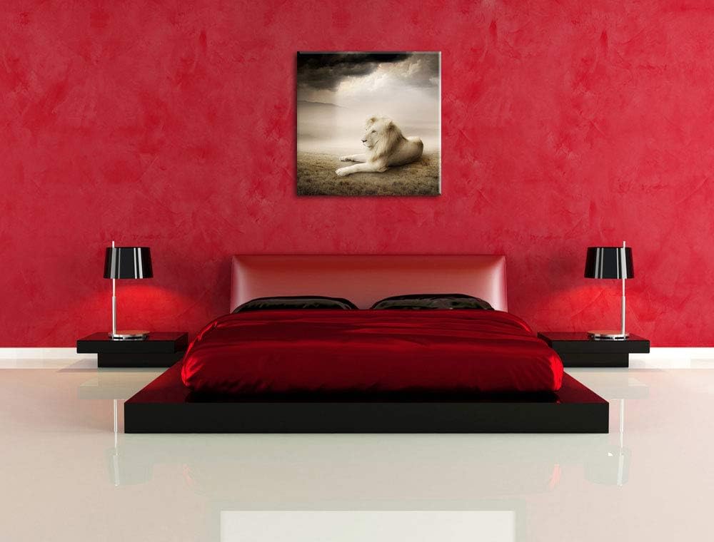 Stolzer weisser Löwenkönig, Format: 70x70 auf Leinwand, XXL riesige Bilder fertig gerahmt mit Keilra