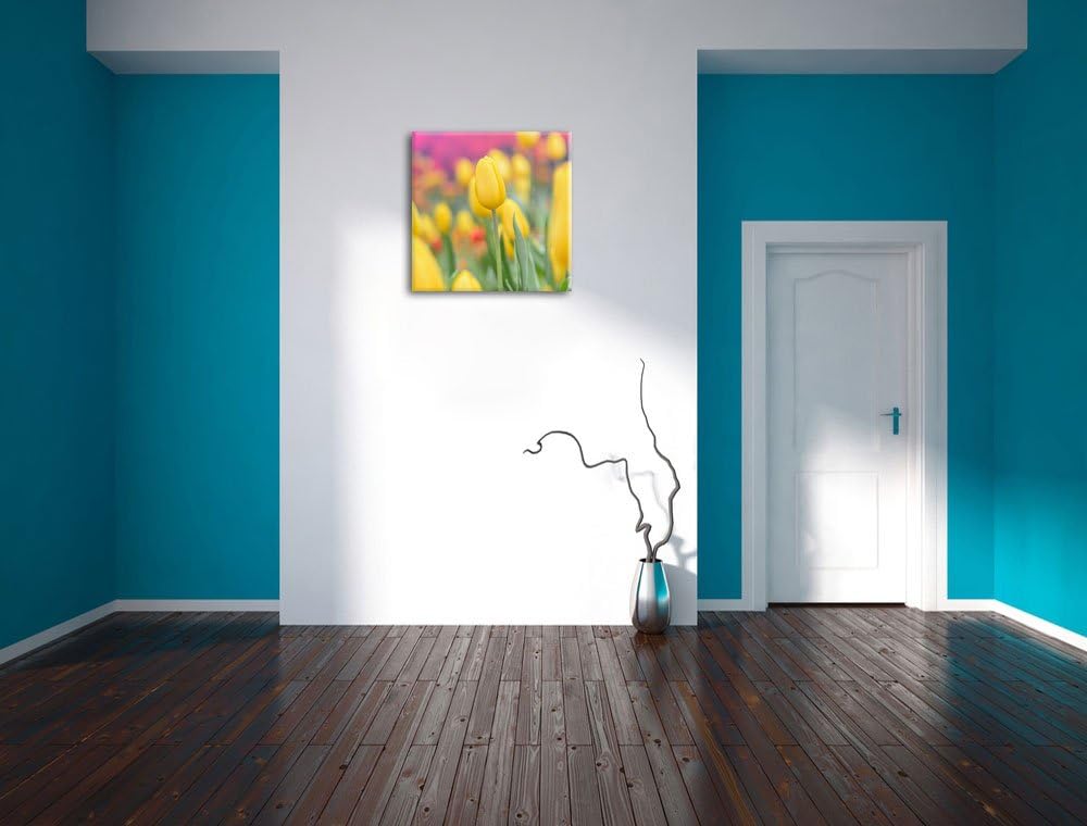 Gelbe Tulpen im Frühling, Format: 70x70 auf Leinwand, XXL riesige Bilder fertig gerahmt mit Keilrahm