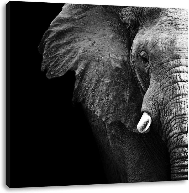 Pixxprint Elefant Porträt, Format: 70x70 auf Leinwand, XXL riesige Bilder fertig gerahmt mit Keilrah