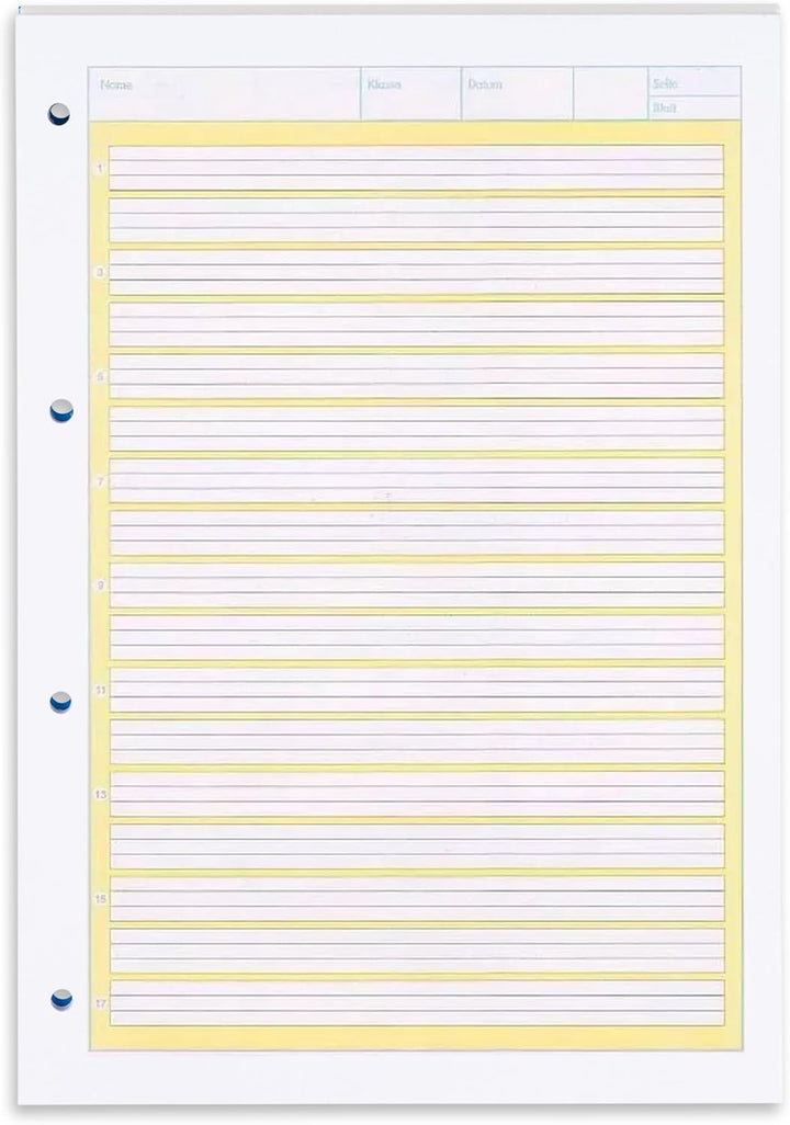 Herlitz 215020 Arbeitsblock A4, Lineatur 02 (liniert), FSC Mix, 5-er Pack