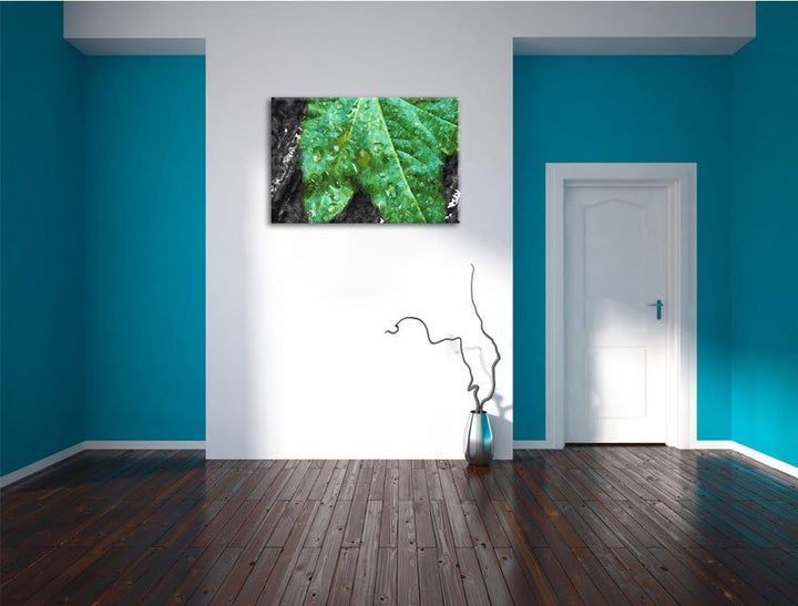 viele kleine Regentropfen auf Blatt schwarz/weiss Deluxe Format: 100x70 cm auf Leinwand, XXL riesige