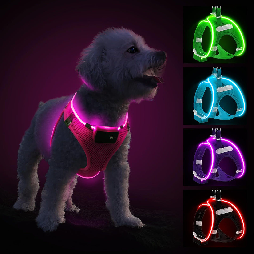 PcEoTllar Hundegeschirr Leuchtend, Leuchtgeschirr LED Aufladbar & Reflektierendes, Beleuchtetes Leuc