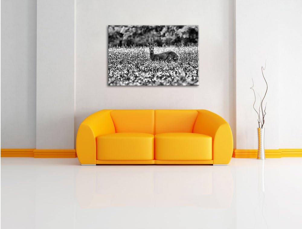 Pixxprint Monocrome, junger Hirsch auf Wildwiese, Format: 100x70 auf Leinwand, 100x70
