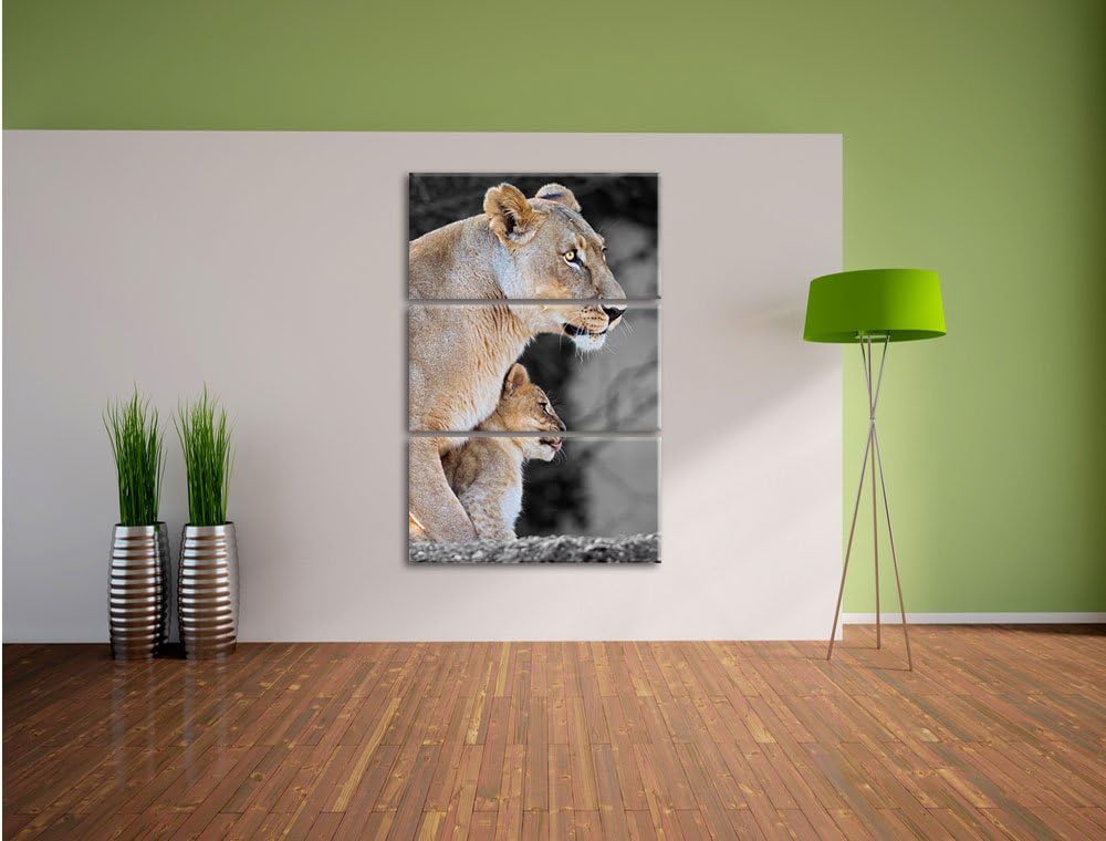 Pixxprint Löwenmutter mit Jungtier als Leinwandbild/Grösse: 3 Teilig (120x80) cm/Wandbild/Kunstdruck