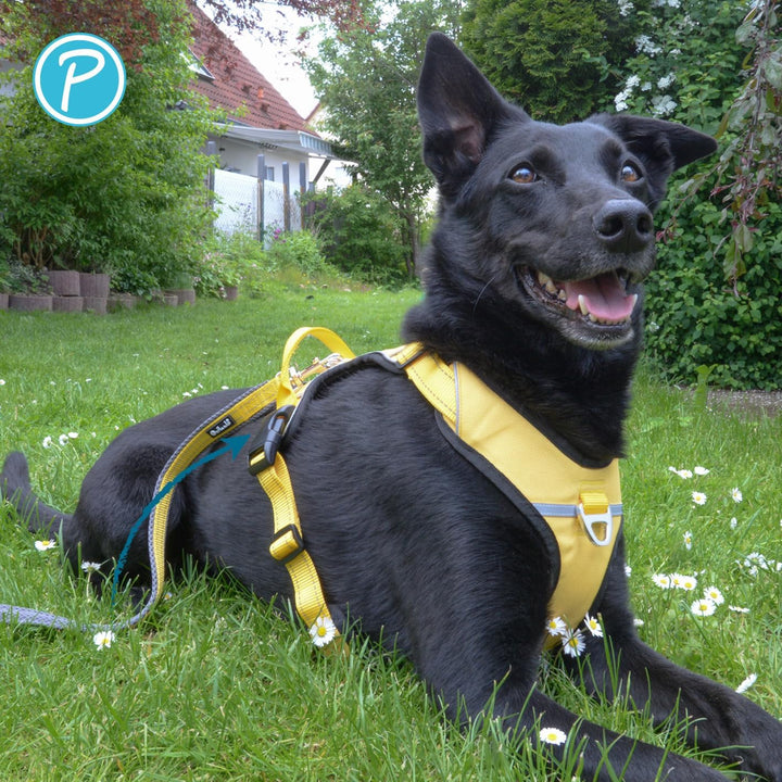 Petlando Hundegeschirr Outdoor – stark reflektierend, gepolstert, atmungsaktiv, robust, stufenlos ve