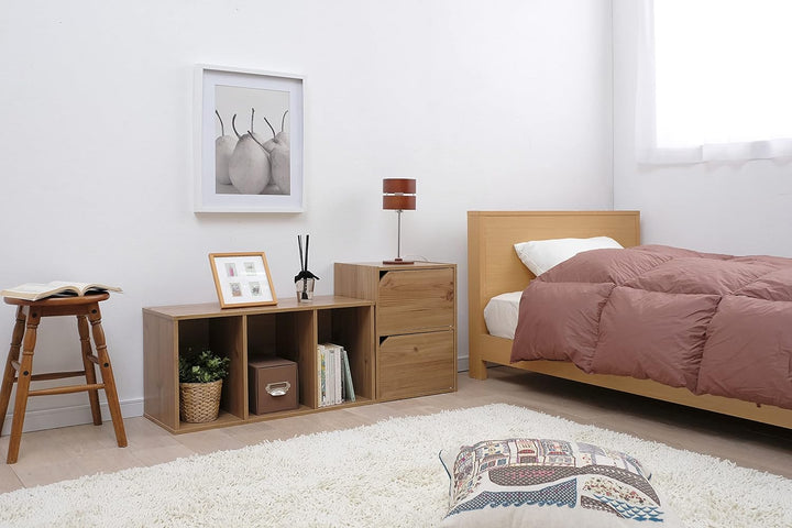 Iris Ohyama, Bücherregal, Möbel mit 2 Türen und 2 Regalen, Einfache Montage, Design, Modular, Büro,