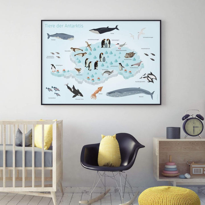 Kinder Lernposter - Tiere der Antarktis - in 3 Grössen - Wal Delfin Pinguin Robbe Südpol Wanddeko Ki