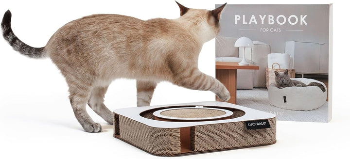 LucyBalu® Playbook Katzen Kratzbrett mit Ball | Fummelbrett | Katzenspielsachen aus Kratzpappe | Int