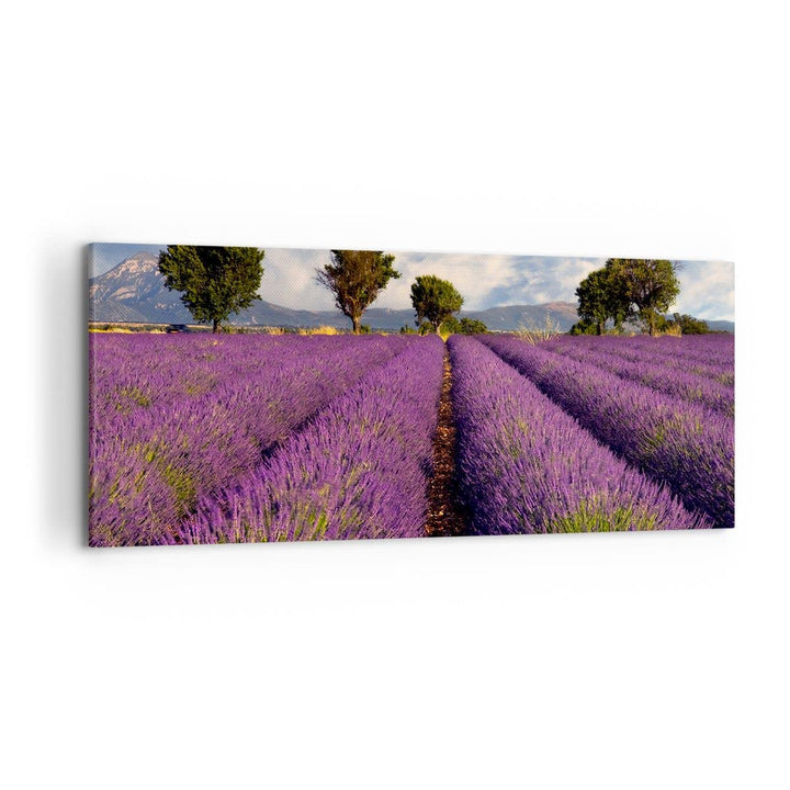 Wandbilder Dekoration Wohnzimmer Landschaft Wiese Pflanzen Panorama Bilder auf Leinwand 120x50cm Lei