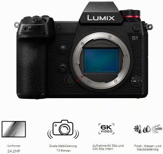 Panasonic DC-S1E-K spiegellose Vollformatkamera, 4K 60p/50p Videoaufnahmen mit Flip Screen (professi