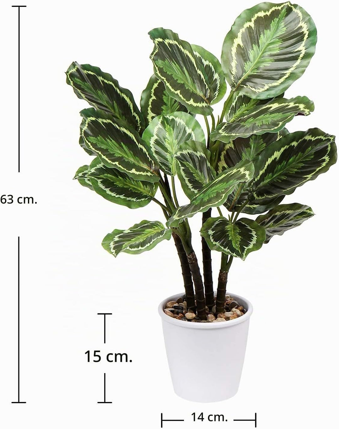 Briful 63CM Künstliche Calathea Medaillon Kunstpflanze Dekopflanze Tropische Zimmerpflanzen im Topf
