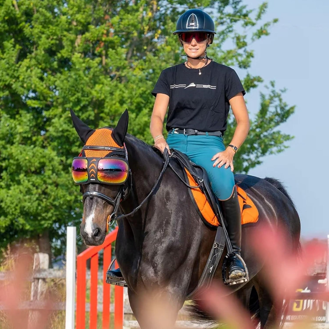 EQUICK Brille Pferd eVysor