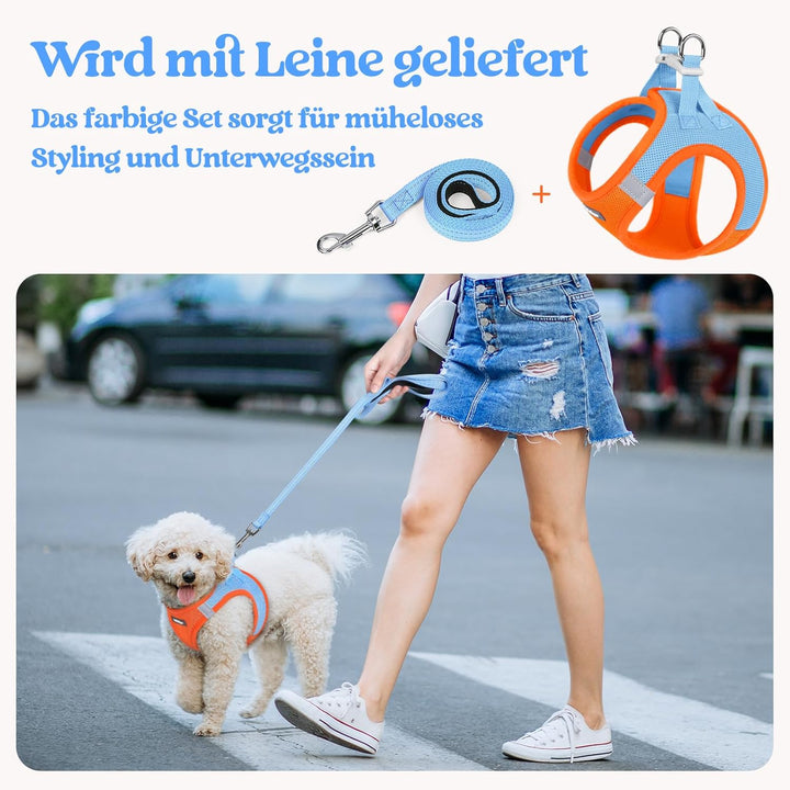 rabbitgoo Hundegeschirr Kleine Hunde mit Leine, Step-in Welpengeschirr Weich Mesh für Spaziergänge,