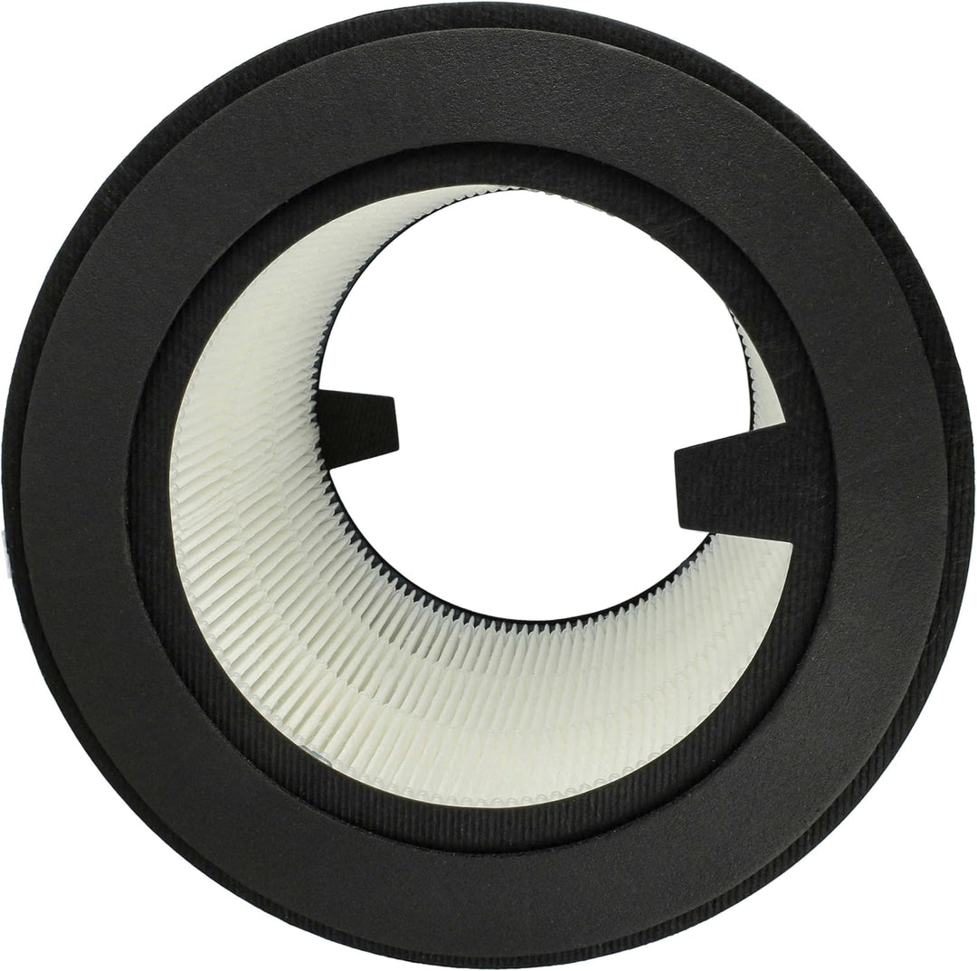 vhbw 2x HEPA Filter Ersatz für Philips FY0194/30 für Luftreiniger | Ersatz-Filter