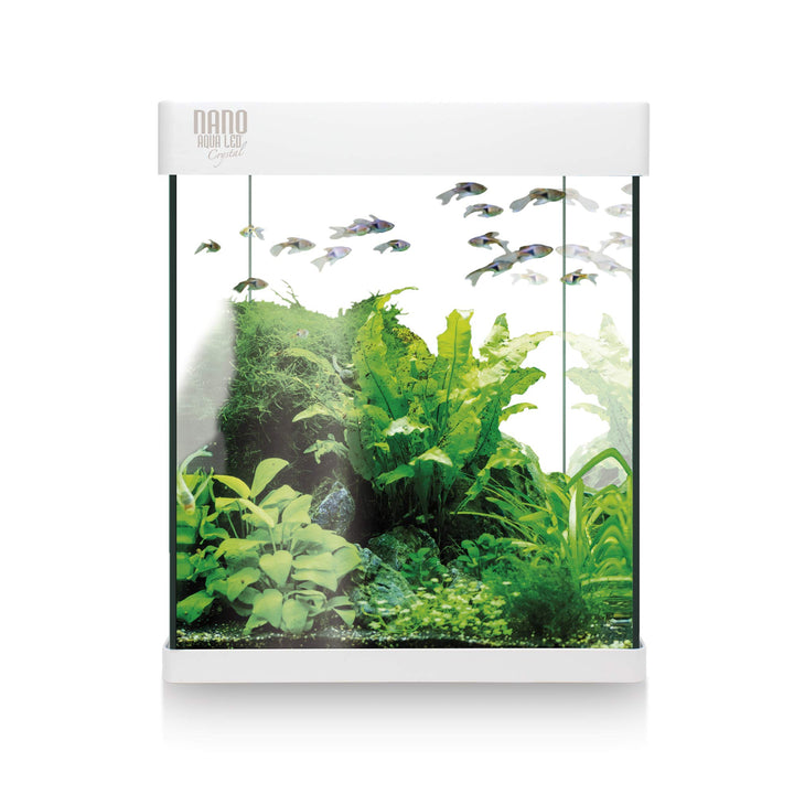 ICA KNA10 Nano Aqua Led Crystal Aquariumset, 10 Liter Weiss 10 LITROS (Pack of 1), Weiss 10 LITROS (