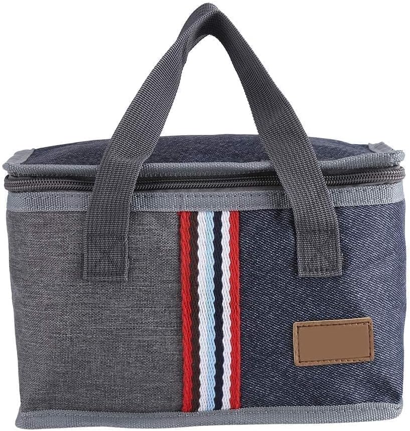 Lunch Tasche, isolierte Tragbare Kühltasche mit Wärmeisolierung für Picknick, Schule, Arbeit, Outdoo
