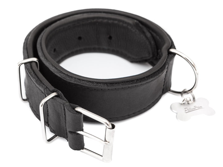 Hundehalsband Leder, Halsband, Leder, Lederhalsband Hund, Metallschnalle, 65 x 4 cm, Schwarz Einstel