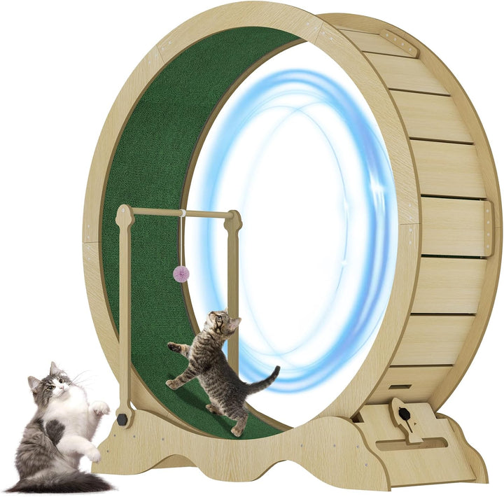 Katzenlaufrad 115cm für Indoor-Katzen - Laufband mit abnehmbarem Teppich, Sicherheitssperre und Spie