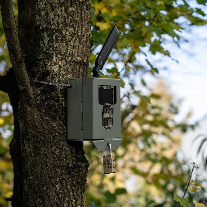 DÖRR Metallschutzgehäuse für Cloud Mini 4G LTE & Mini 5.0 Pro Wildkamera, Schutzbox für Überwachungs