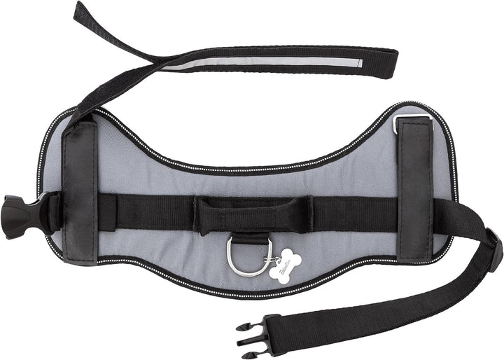 Geschirr für Hunde, Drucklos, Hundegeschirr, Reflektierend, Beschriftungen, R3: 57-70 cm, Asche R3:
