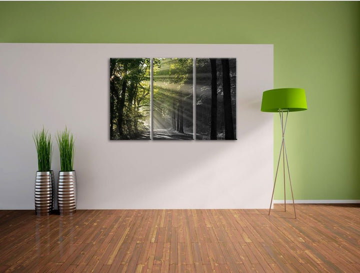 Pixxprint Waldweg im Frühling als Leinwandbild/Grösse: 3 Teilig (120x80) cm/Wandbild/Kunstdruck/fert