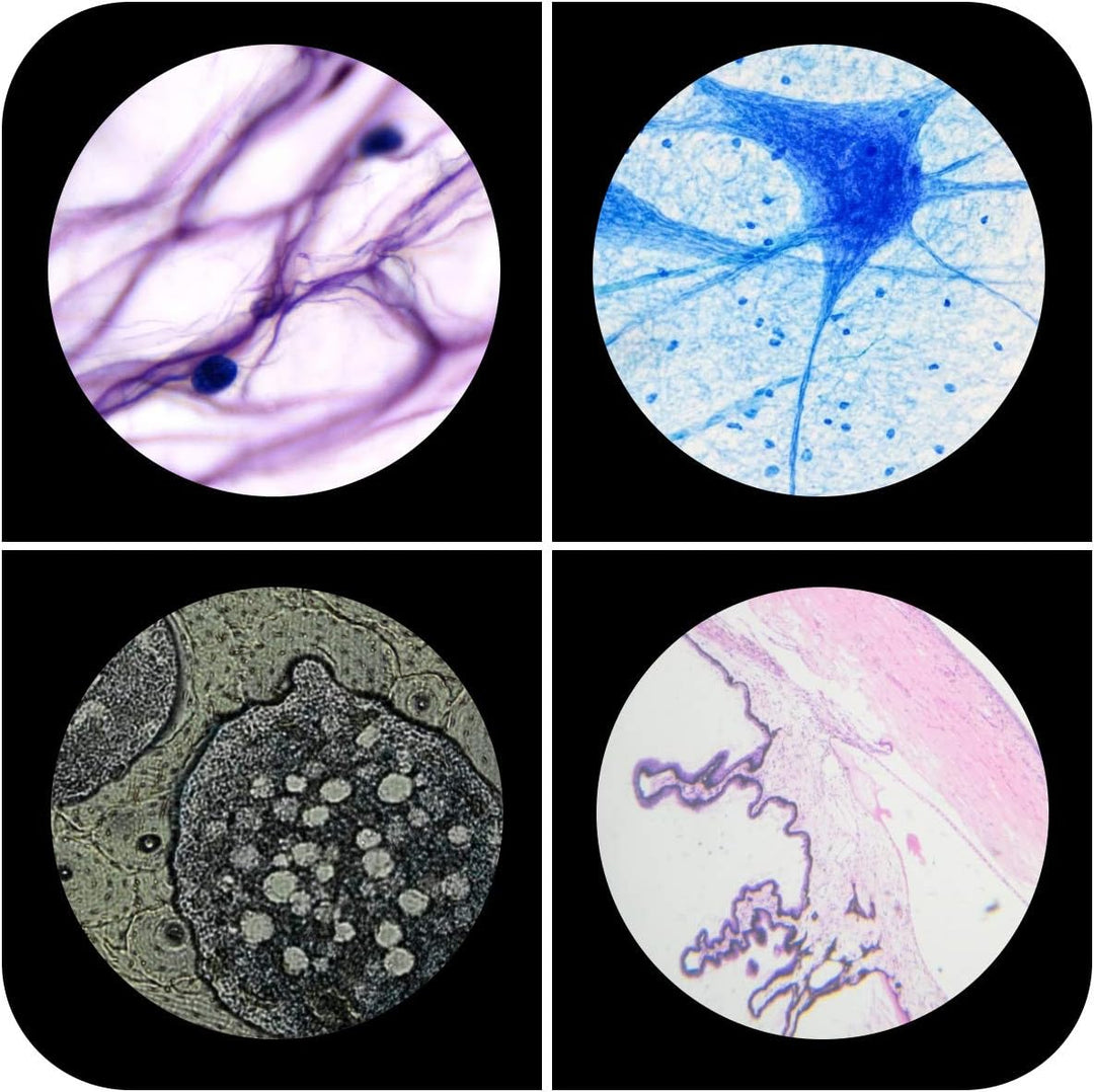 Mikroskop-Objektträger aus Kunststoff für Kinder (Tiere, Insekten, Pflanzen, Blumen), Mikroskop-Obje