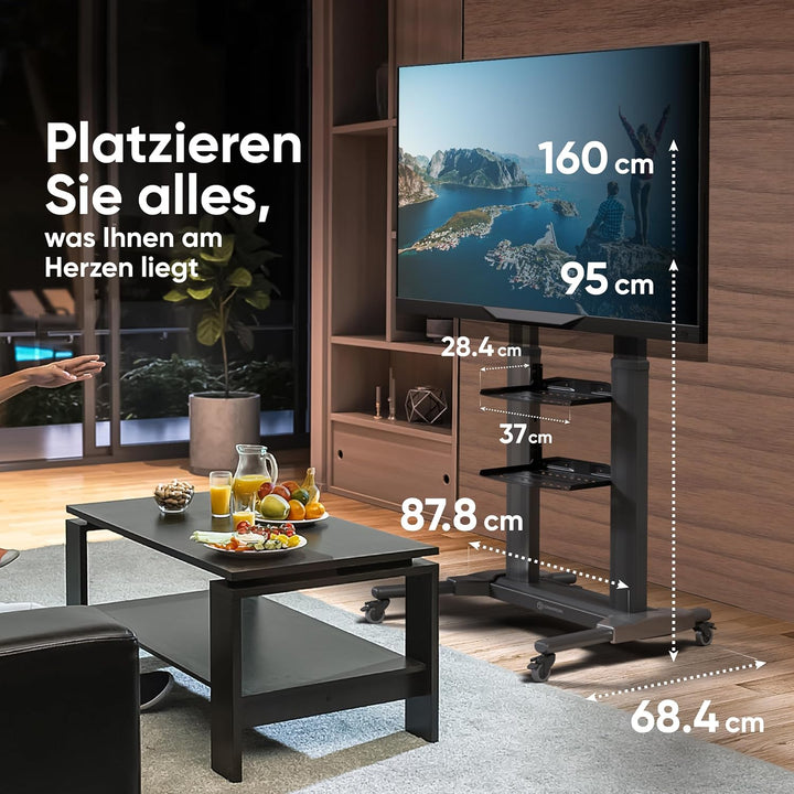 ONKRON TV Standfuss Fernseher aus Aluminium - TV Ständer rollbar & höhenverstellbar 40-80 Zoll LED P