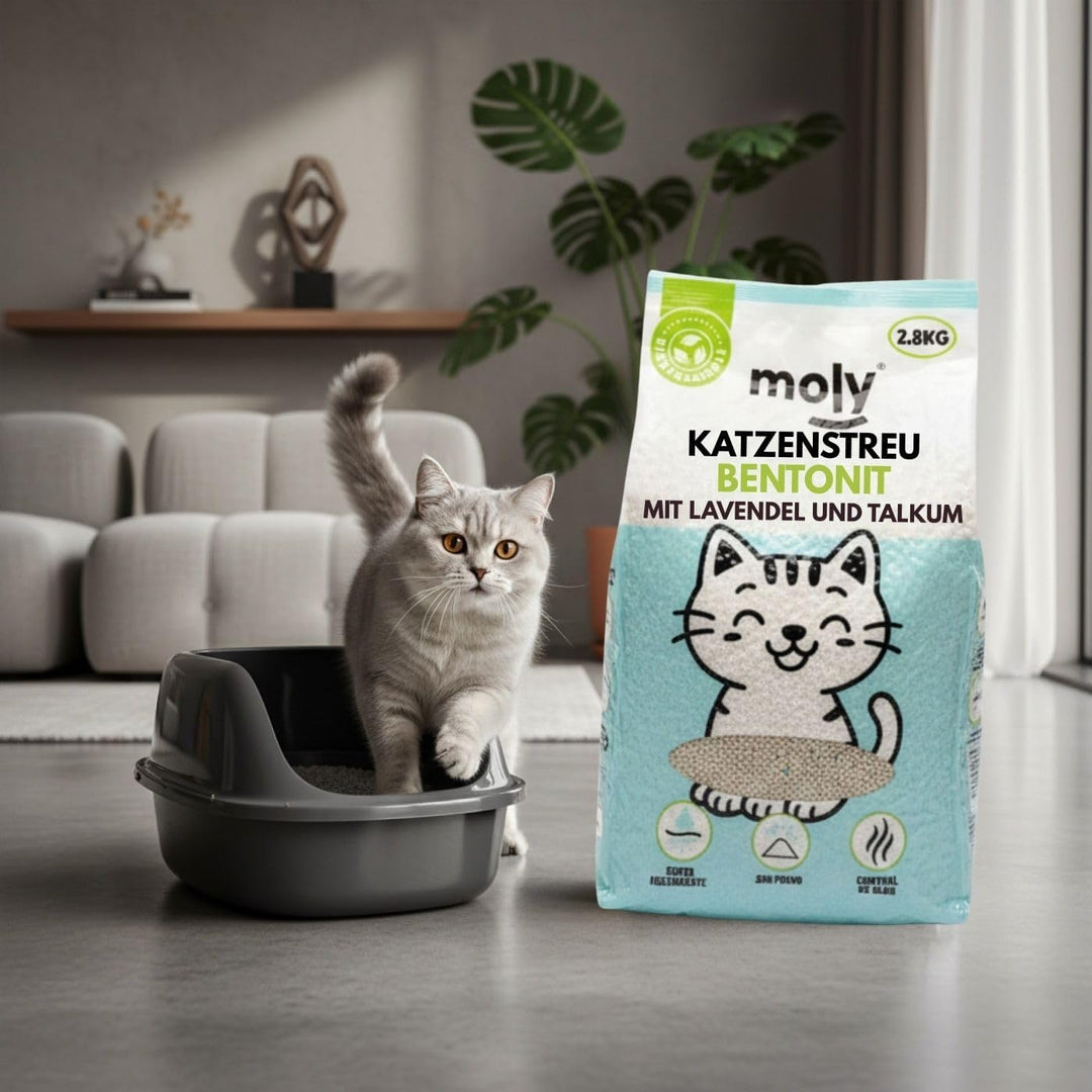 MOLY 2 x Bentonit-Katzenstreu mit Aktivkohle, 5,6 kg, 7,4 l, hohe Saugfähigkeit, mit Lavendel- und T