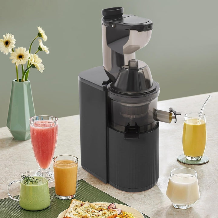 Haushaltsentsafter, Langsamer Entsafter Slow Juicer 500ml(Schwarz)