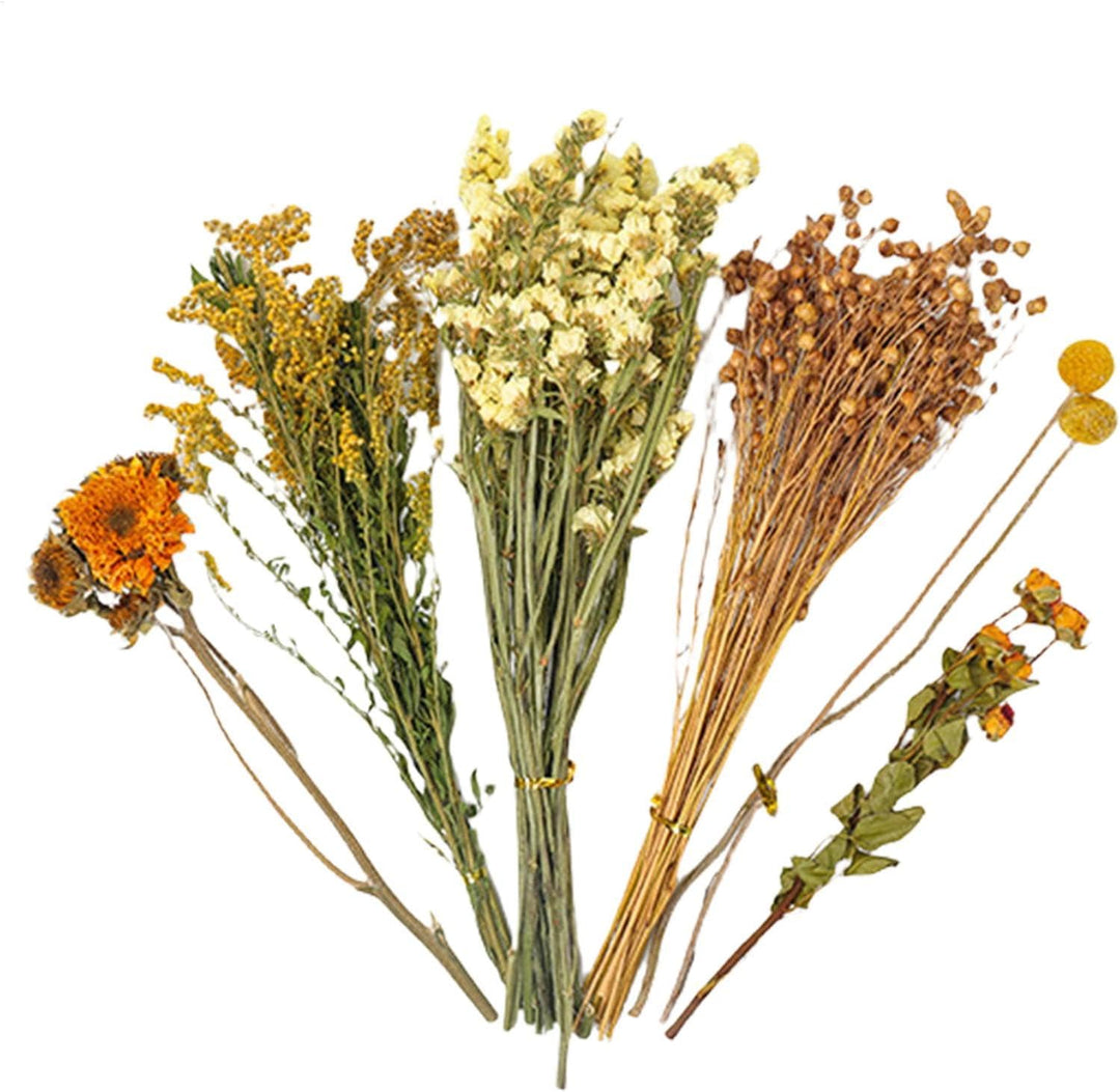 Hamster Heublumen Einstreu, Blumen-Hamster-Bettwäsche, Trockenblumen Für Hamster, Trockenblumen-Hams