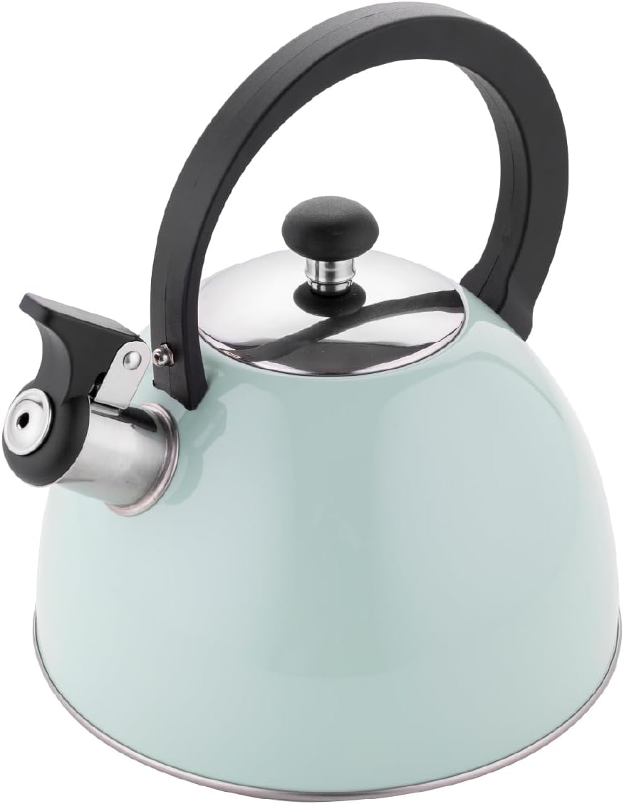 FLORINA Wasserkessel (2 l) I Edelstahl Teekessel BRILLO I Flötenkessel mit Bakelitgriff I Kratzfeste