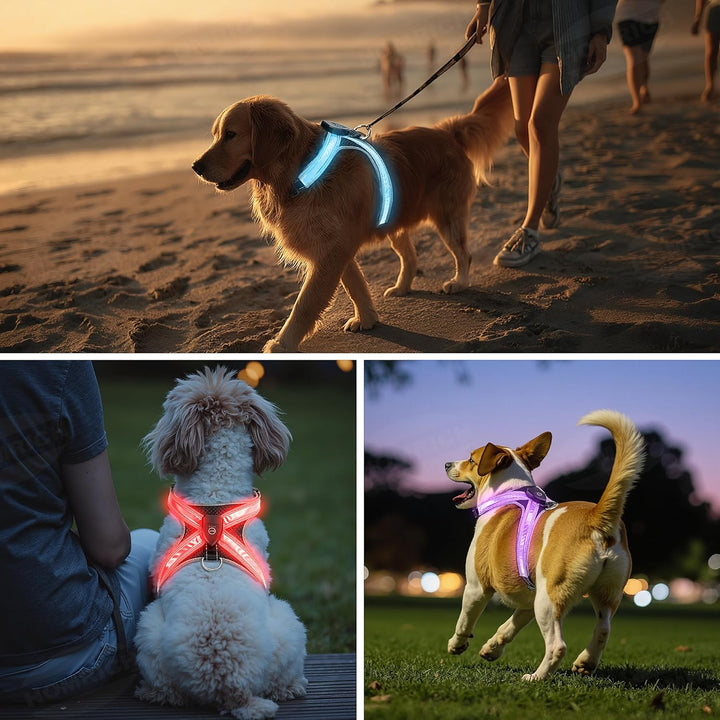 LED Leuchtgeschirr für Hunde - Aufladbar & Reflektierend Hundegeschirr, 3-Lagiges Air Mesh für Atmun